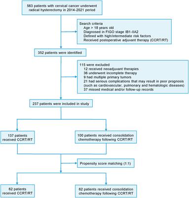 Efficacy and safety of consolidation chemotherapy after adjuvant therapy in stage IB-IIA cervical cancer patients with risk factors: a retrospective single-center study